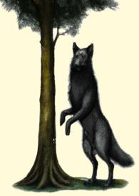 獸慾城邦 獸慾城邦